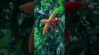 Peaceful green nature full screen whatsapp status #youtube #shorts #youtubeshorts #softpeace