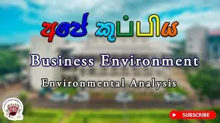 1.1 Mgt |  Environmental Analysis  [Sinhala] | Business Environment