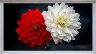ÇERÇEVE EKRAN TABLOSU 3  - Gold Frame Art