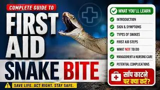 Snake Bite First Aid || First Aid & Nursing Care for Snake Bite || Snake Bite First Aid In Hindi