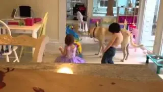 Jay and Kate dancing