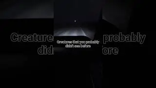 Strange creatures that you probably did not see before (Part 2)