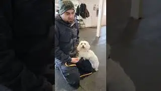 Training a fear aggressive little dog