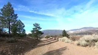 Frazier Mountain Service Road Hike 12/23/24 The Descent Part One