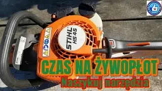 Cięcie żywopłotu kiedy ? Marzec, lipiec, sierpień, ale najpierw, naszykuj narzędzia! Stihl HS 45.
