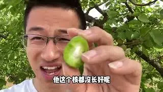小伙回家下地，打算给树挂名牌，洞哥他们每人一棵，欢迎大家光临#vlog十亿流量扶持计划 #家庭日常 #父子