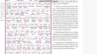 Sayfa 49 | Kuran-ı Kerim – Kelime Meali ve Çok Yavaş Okuma ile Hatim