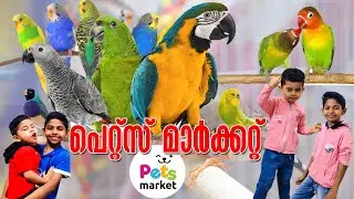 Pets market sharjah | Birds and animal market | Sharjah , UAE | H1 TRIPS