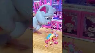 Popfinity ASMR | Grey Cat Cleans Up Scattered Toy Rings with Satisfying Sounds