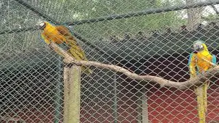 ZOOL&Oacute;GICO PARQUE DO SABI&Aacute;, COMO EST&Aacute; HOJE? (22 MAR 2024)
