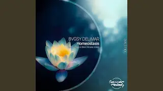 Homeostasis (Shion Hinano Remix)