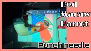 Red Macaw Parrot Design using a projector