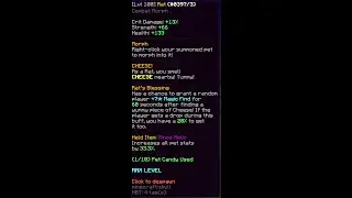 Putting a pet candy on a rat with a minos relic (Hypixel Skyblock)