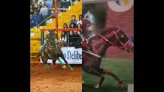 little cowgirl #barrelracing #horse #rodeo #cowgirl #cowboys