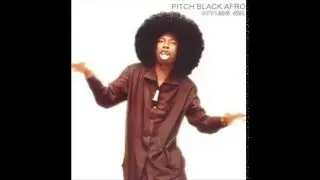 Pitch Black Afro - A Day In The Life - feat. Selwyn