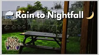 Rainfall & Streetlight | Relaxing Garden Ambience to Fall Asleep 08