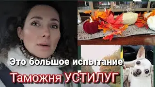 24 октября 2025 г.🚗В долгий путь/Прохождение🛃таможни Устилуг-🙀пытка/🙌Гостиница с животными #устилуг