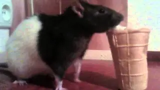 VID 20140722 205044