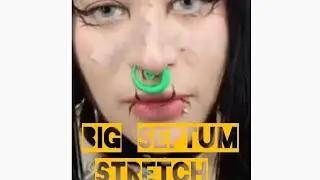 Big SEPTUM STRETCH //00mm SEPTUM STRETCH 