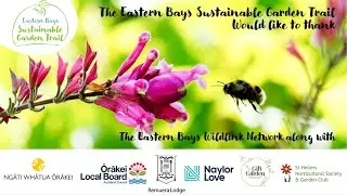 Eastern Bays Sustainable Garden Trail 2024 Auckland