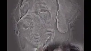 great dane song
