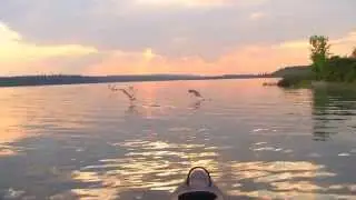 The Paddler - Episode 2 Canoeing