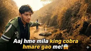 Jungle, King Cobra aur Adventure! 🐍 Aaj toh darr lag gaya! 😨​#ExplorePage​#ViralVlog​#YouTubeIndia