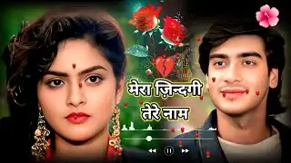 मेरा ज़िन्दगी तेरे नाम शायरी | Romantic ringtone shayari Love shayari ringtone ajay devgan shayari