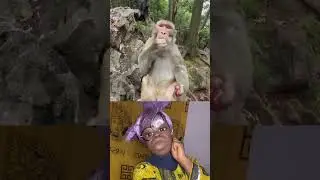 Why are you running😁#funny #viralvideo