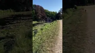 🐕 Twilight Tranquility: A Stroll with Canine Companions in the Realm of Kasteel Groeneveld 🇳🇱