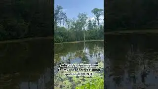 Subscribers only! Im trying to grow a close community so&hellip; #fishing #fish (charlestonchen@g.ucla.edu)