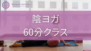 陰ヨガ｜インドのグルガオン開催クラス｜心も体も委ねるヨガ
