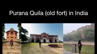 දිල්ලිවල තියන පැරණි බලකොටුවක් බලන්න යමුද? Purana Quila in New Delhi, India #delhi  #india #travel