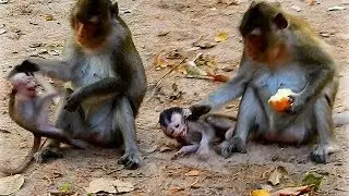 HOW CAN BABY ALBA GROW UP | MOM ANNA TORTURED BABY ALBA EVERYDAY LIKE THIS