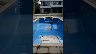 swiming pool renovation