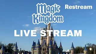 Disney World Live Stream