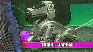 May 1999 Univision News Los Angeles - Found Thrift Store VHS - With Commercials