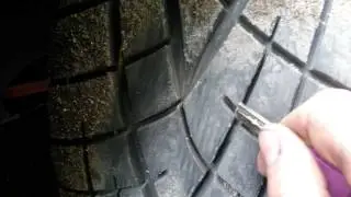 Toyo Proxes R1R на зуб