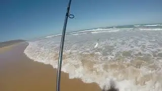 Waitpinga 14 8 2017