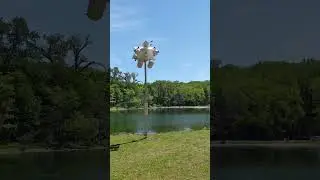 Purple Martin research colonies in Presque Isle State Park. May 2021