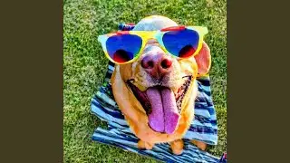 Panting Dog