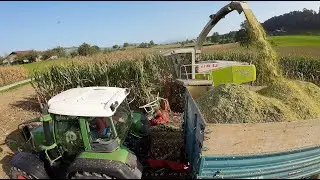 Maishacken 🇨🇭🌽  f&uuml;r Trocknungsanlage Grasag