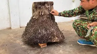 Unique Projects to Revive Damaged Tree Stumps Creating Best Woodworking Products - Woodworking Skill