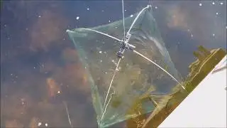 How to Catch Minnows with a Net