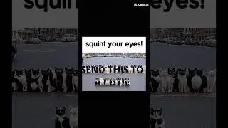 squint more good boi