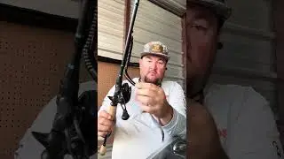 Lake fork fishing report and bait talk