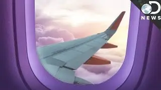 Here's Why Wings Don't Fall Off Airplanes