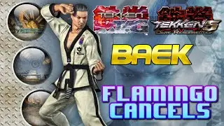 Tekken Tag/Tekken 5 - Baek Flamingo cancels