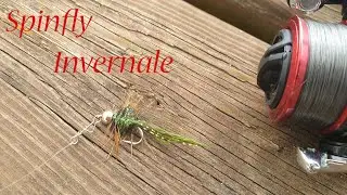 Spinfly invernale