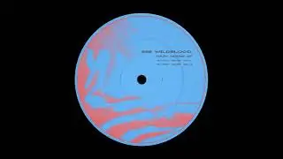 Seb Wildblood - Hazy House Vol. 2 [AMT013]